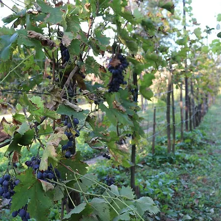 Vinyl House Εξοχικό σπίτι