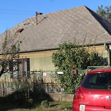 Vinyl House *