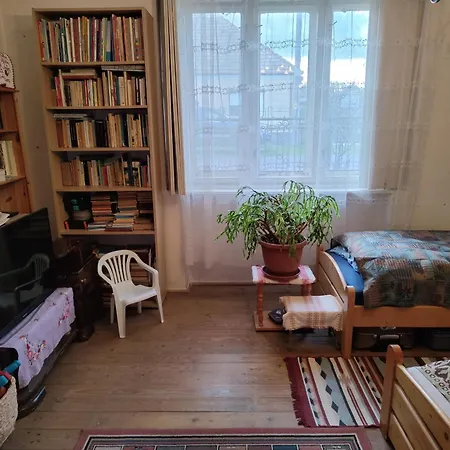 Gospodarstwo wiejskie Vinyl House *