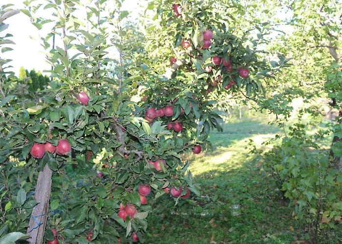 Landhaus Vinyl House Strekov