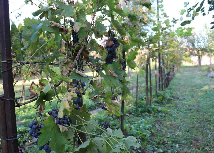 Vinyl House Landhaus